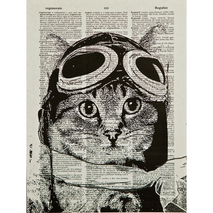 [귀여운 동물그림 아트 포스터 액자] Captain kitty